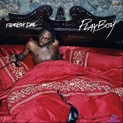 FireBoy DML 